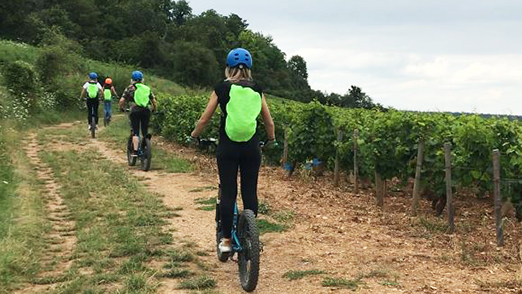  Trottinette électrique tout-terrain