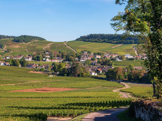 Mercurey © Alain DOIRE / BFC Tourisme
